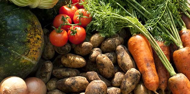 わかばファーム